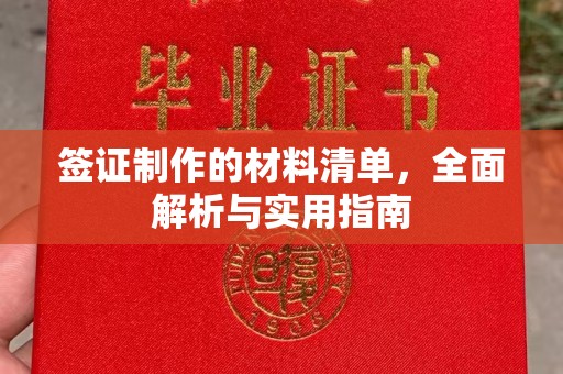 肥东签证制作的材料清单，全面解析与实用指南